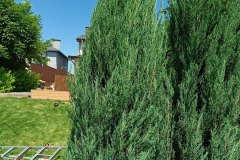 photo_61_2026-03-19_15-48-47